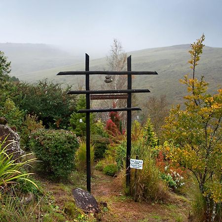 Birches Cottage & The Willows Garden Room Underberg Exterior foto