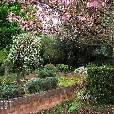Birches Cottage & The Willows Garden Room Underberg Exterior foto