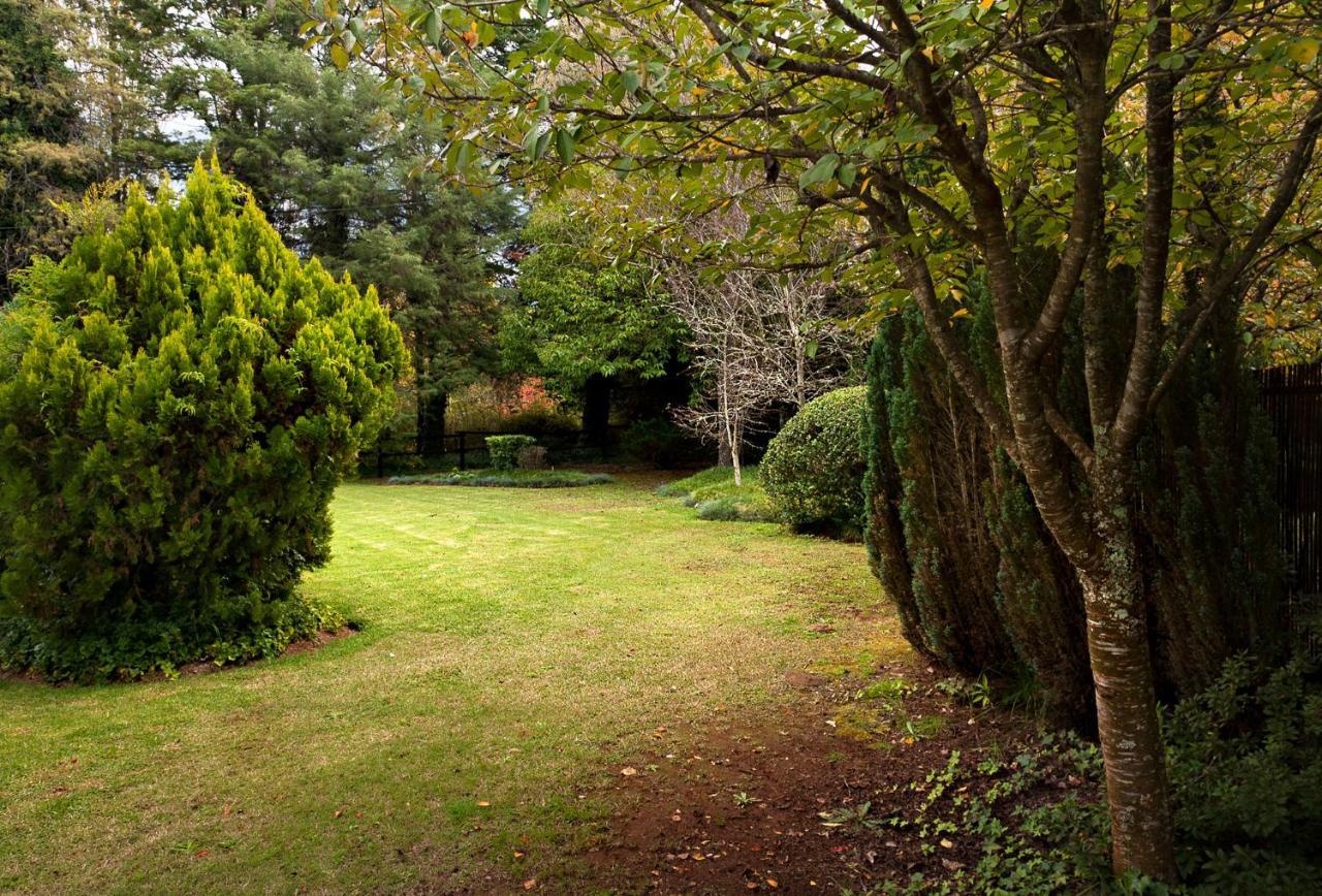 Birches Cottage & The Willows Garden Room Underberg Exterior foto