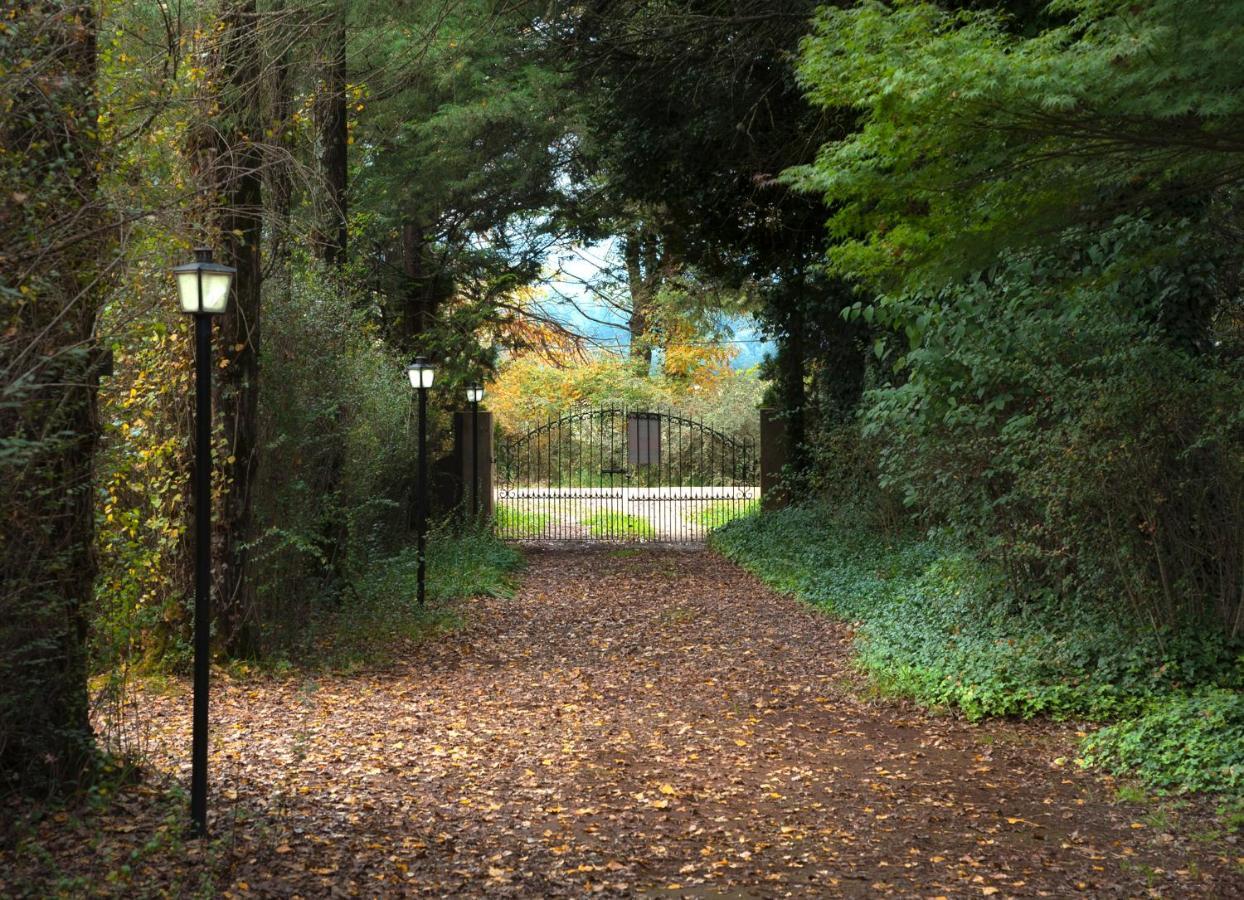 Birches Cottage & The Willows Garden Room Underberg Exterior foto