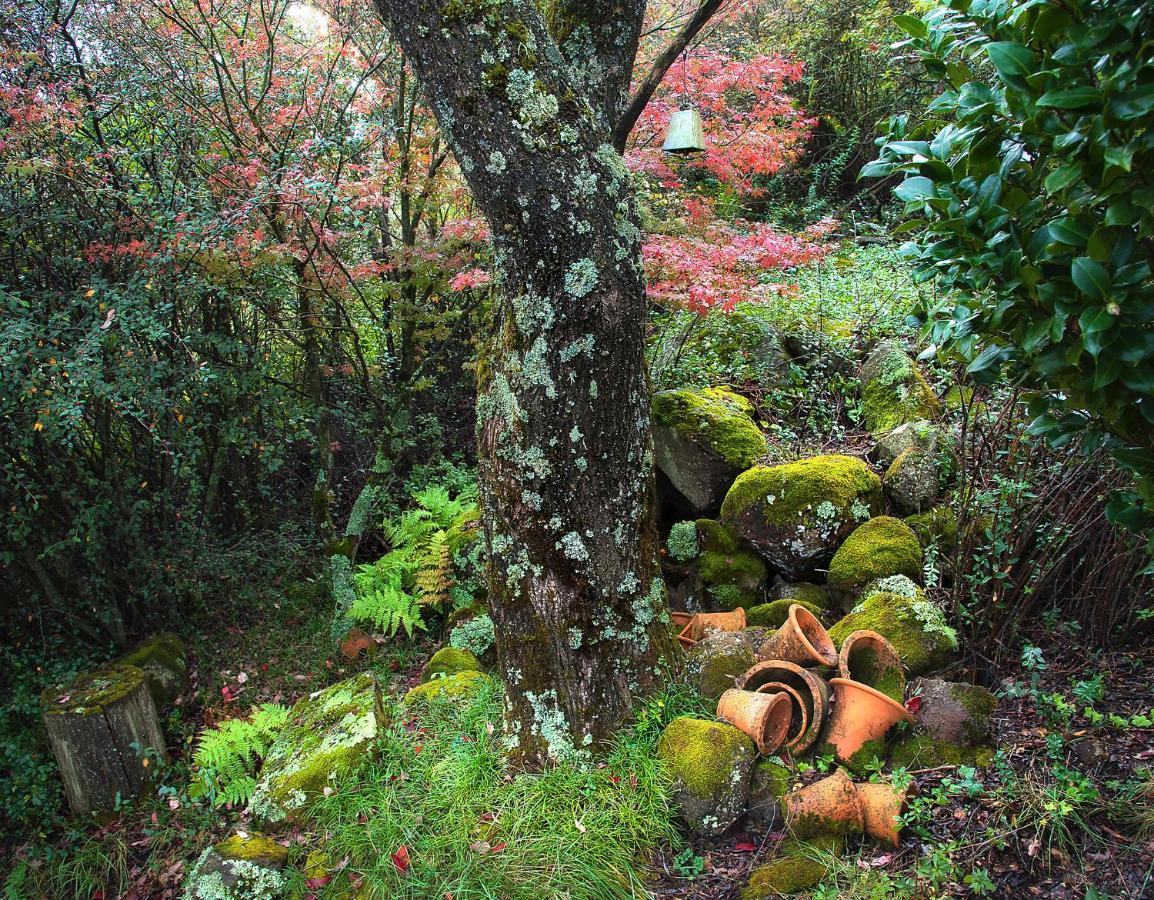 Birches Cottage & The Willows Garden Room Underberg Exterior foto