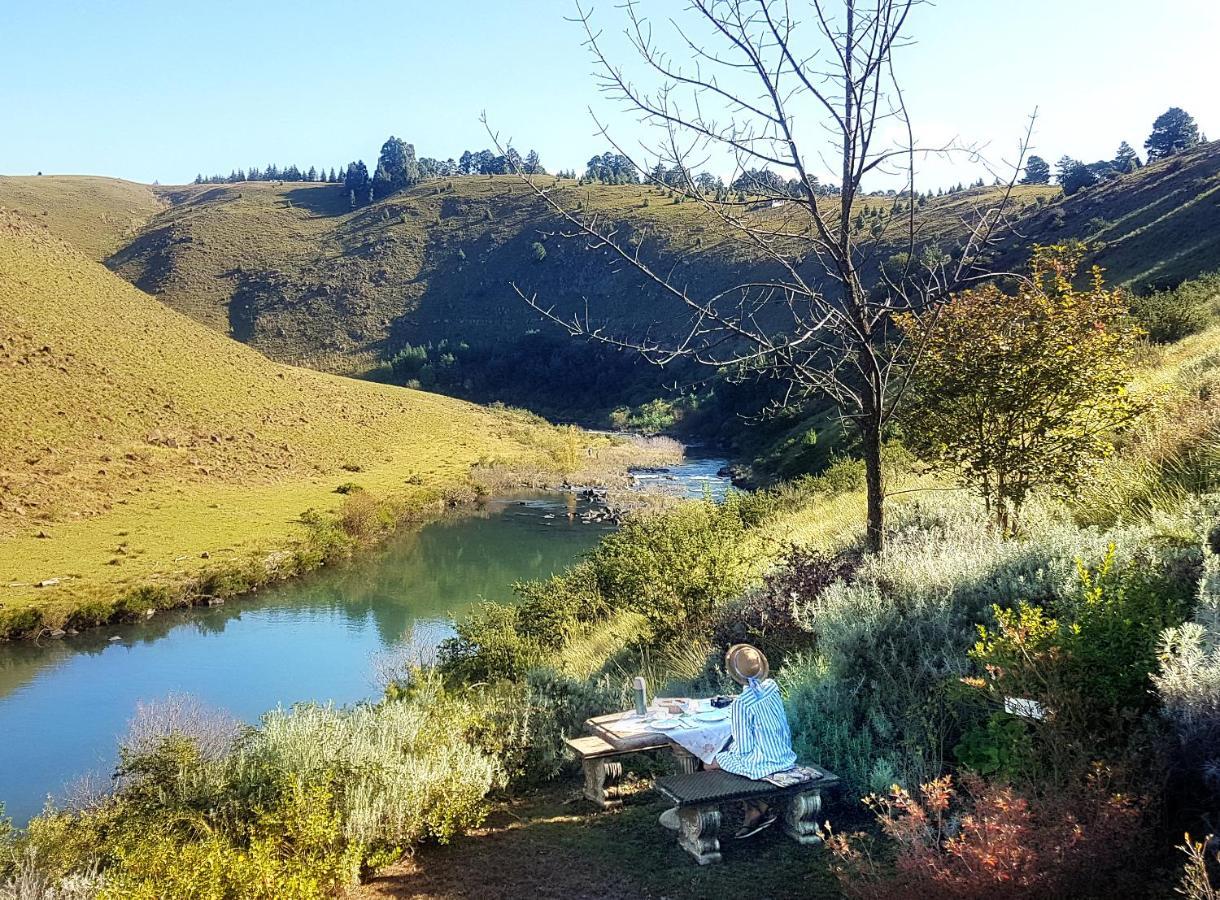 Birches Cottage & The Willows Garden Room Underberg Exterior foto