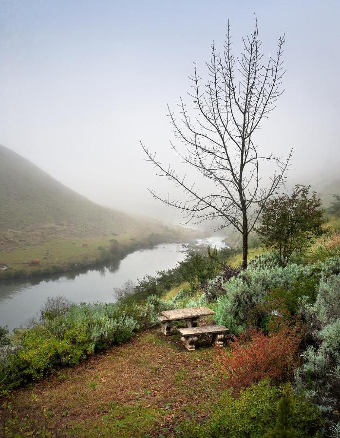 Birches Cottage & The Willows Garden Room Underberg Exterior foto