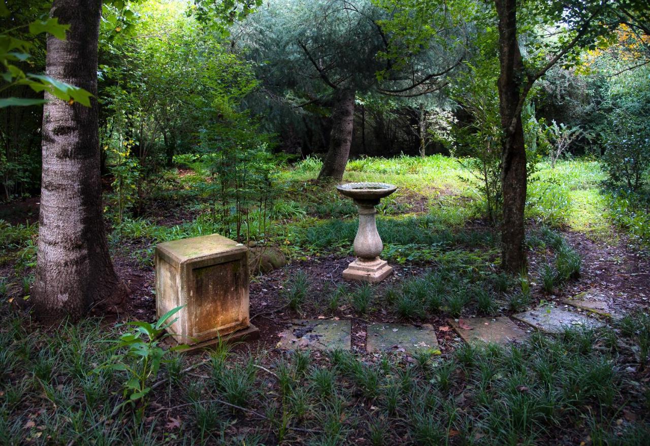 Birches Cottage & The Willows Garden Room Underberg Exterior foto