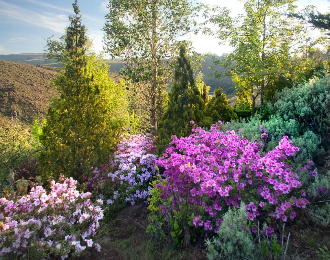 Birches Cottage & The Willows Garden Room Underberg Exterior foto