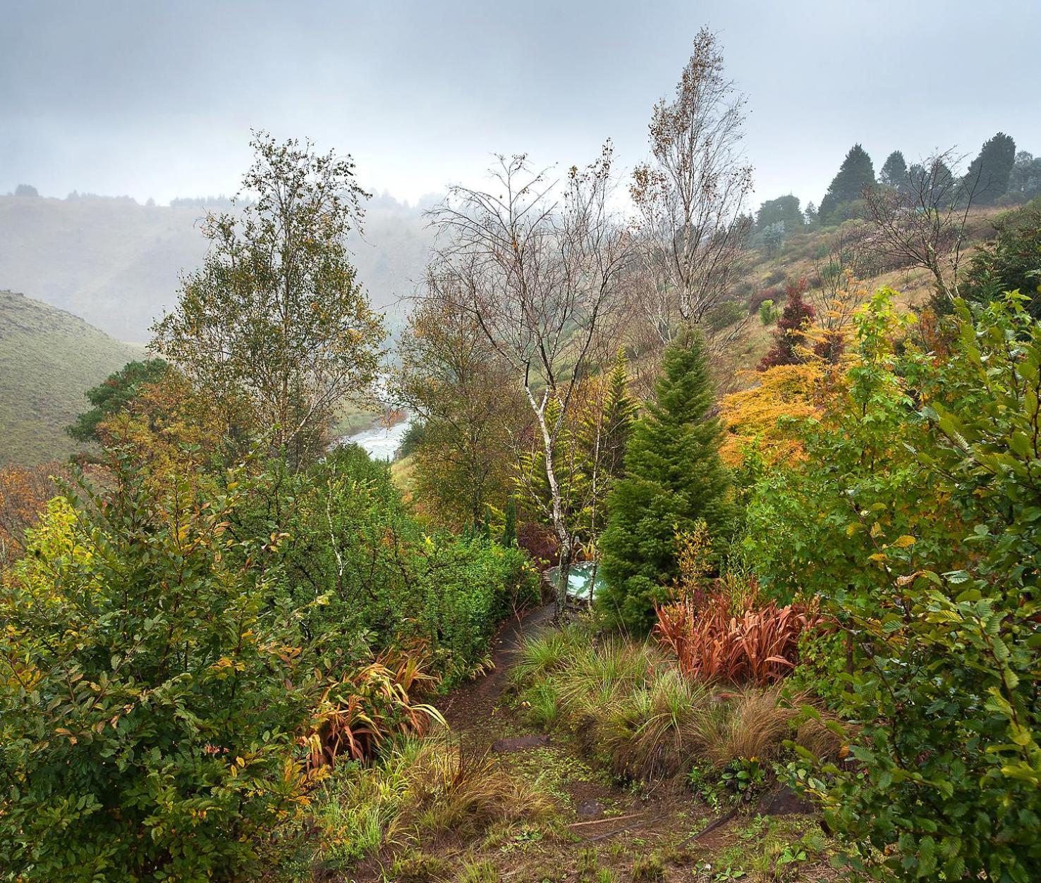 Birches Cottage & The Willows Garden Room Underberg Exterior foto