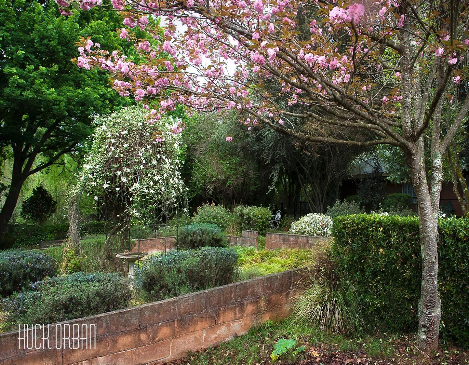 Birches Cottage & The Willows Garden Room Underberg Exterior foto