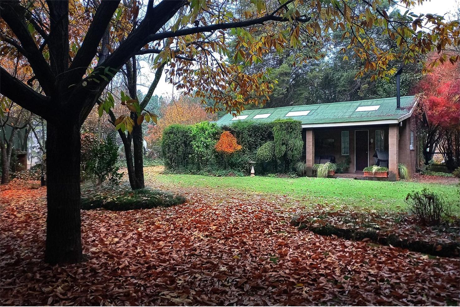 Birches Cottage & The Willows Garden Room Underberg Exterior foto