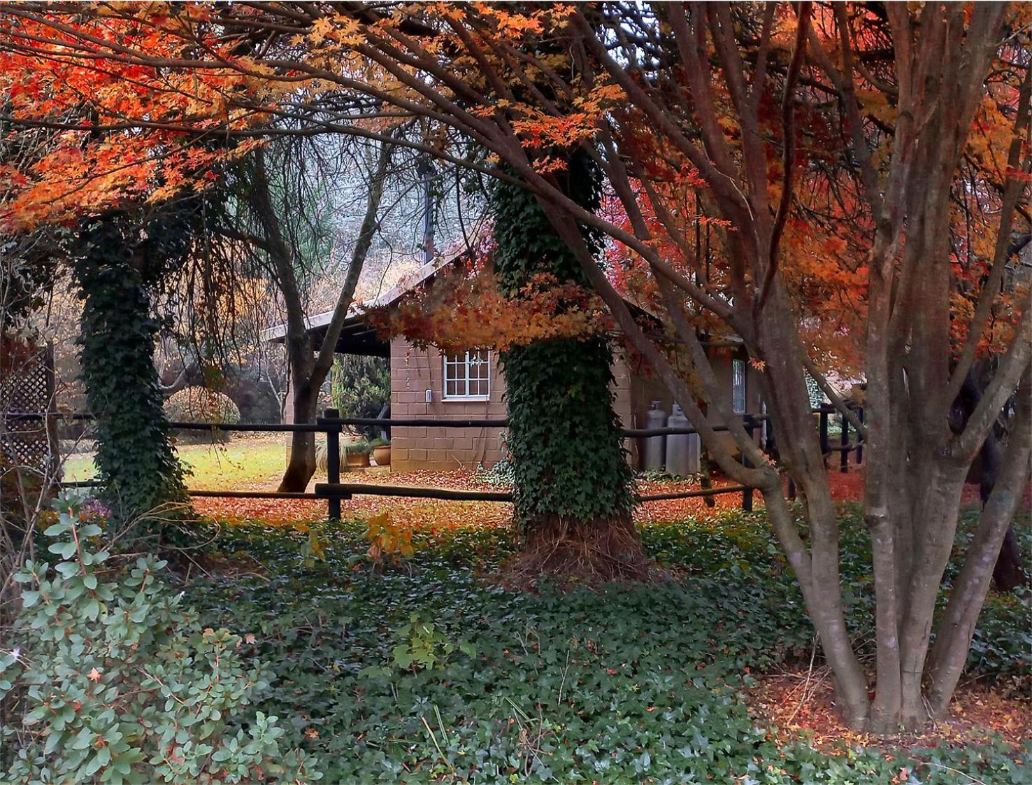 Birches Cottage & The Willows Garden Room Underberg Exterior foto