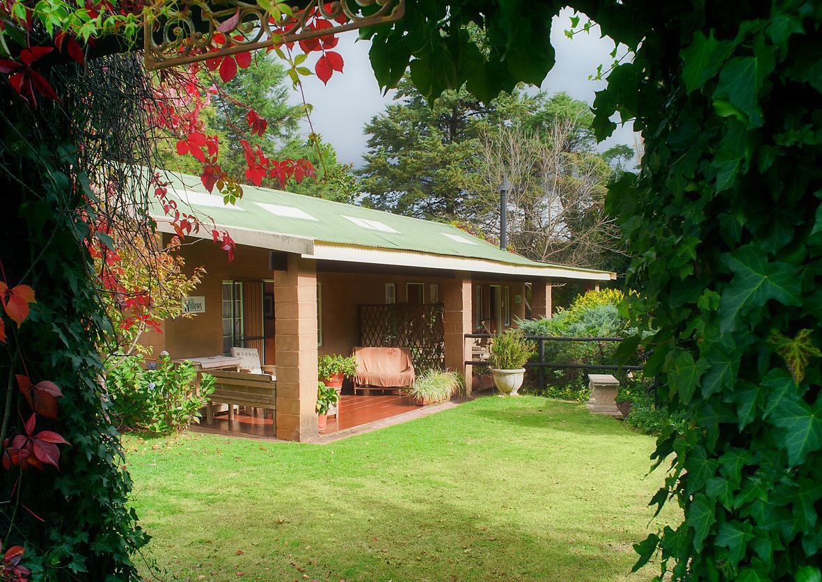 Birches Cottage & The Willows Garden Room Underberg Exterior foto