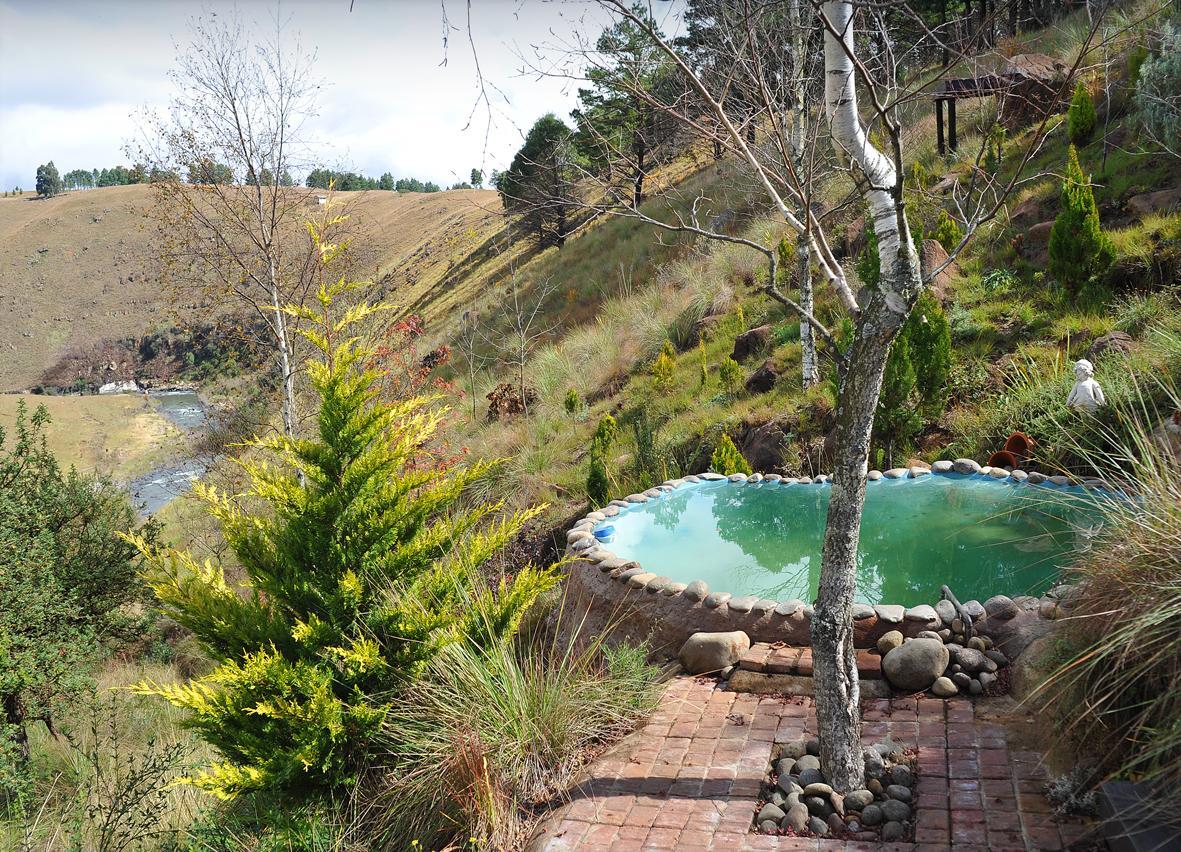 Birches Cottage & The Willows Garden Room Underberg Exterior foto