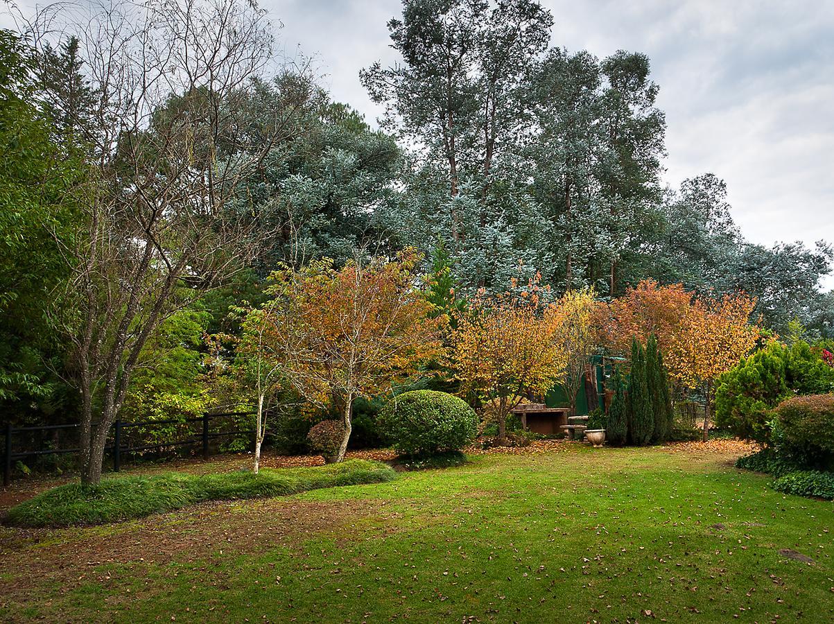 Birches Cottage & The Willows Garden Room Underberg Exterior foto