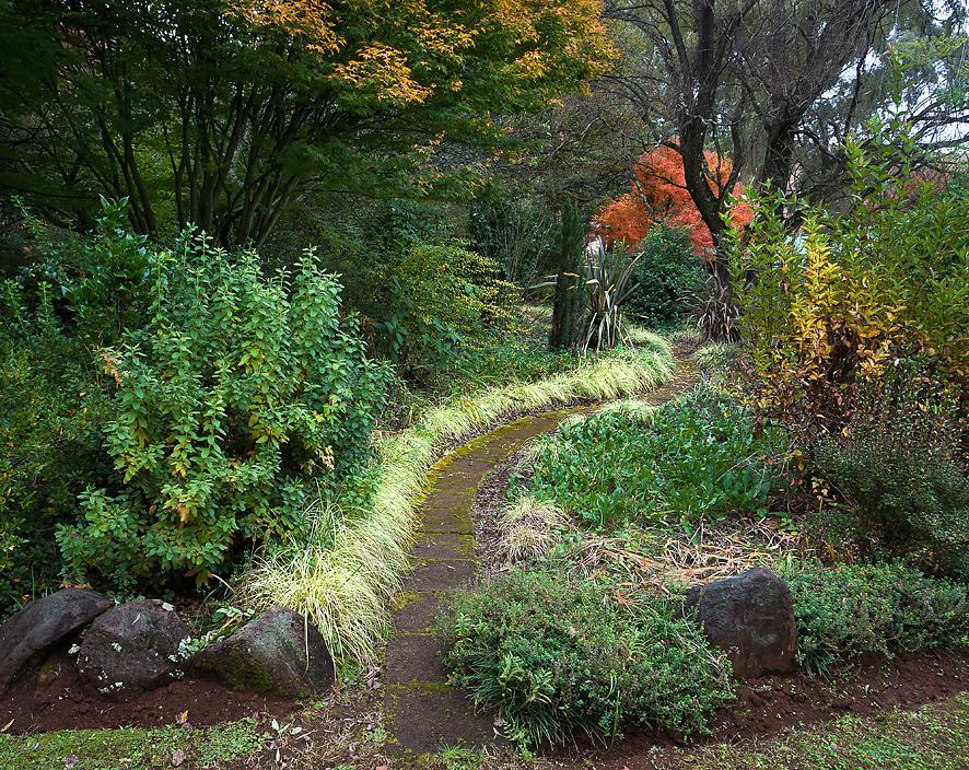 Birches Cottage & The Willows Garden Room Underberg Exterior foto