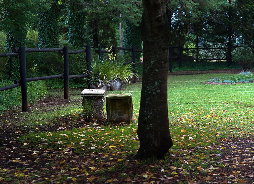 Birches Cottage & The Willows Garden Room Underberg Exterior foto