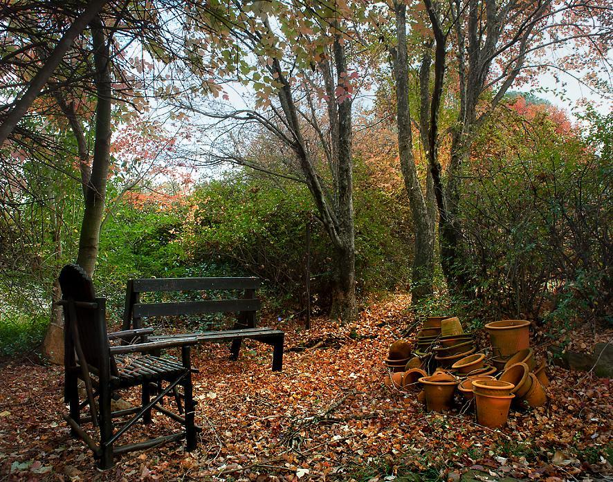 Birches Cottage & The Willows Garden Room Underberg Exterior foto
