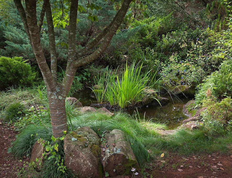 Birches Cottage & The Willows Garden Room Underberg Exterior foto