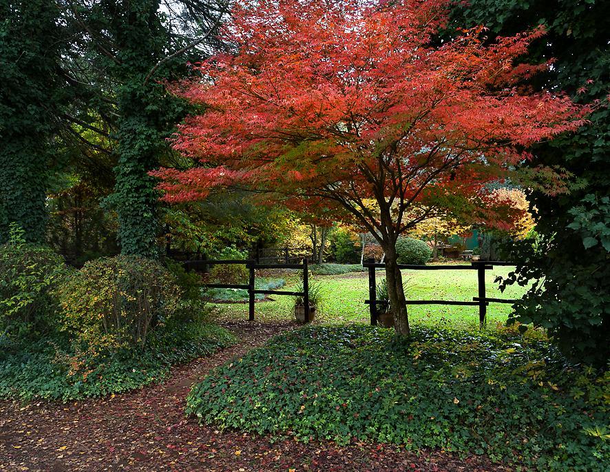 Birches Cottage & The Willows Garden Room Underberg Exterior foto